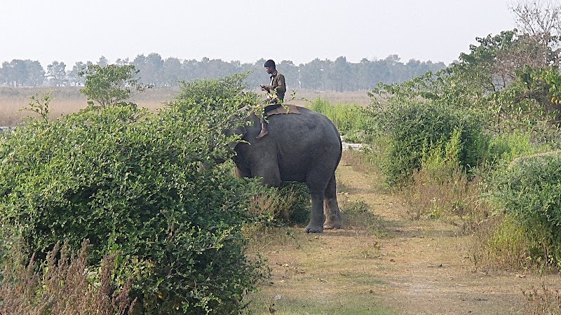 Explore Koshi Tappu Wildlife Reserve - Bairawa - Nepal - booked ai