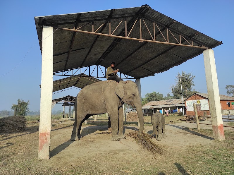 Explore Koshi Tappu Wildlife Reserve - Bairawa - Nepal - booked ai