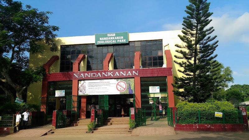 Explore Lingaraj Temple - Bhubaneswar - India - booked ai