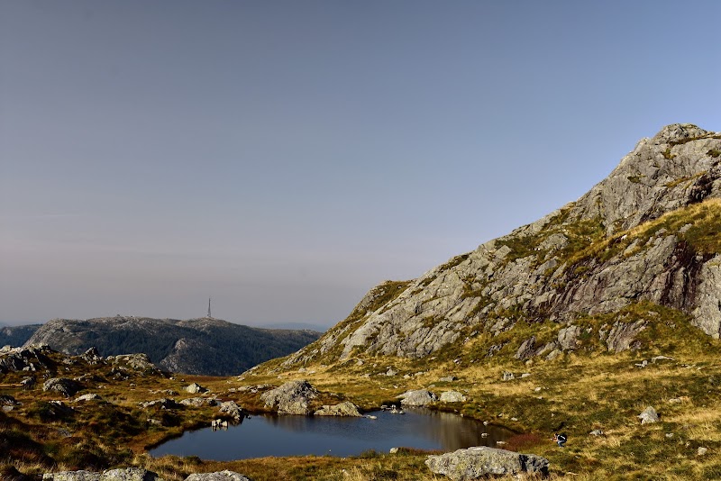 Mount Ulriken Hike or Cable Car - Bergen - Norway - booked ai