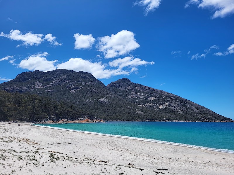 Freycinet National Park - Gray - Australia - booked ai