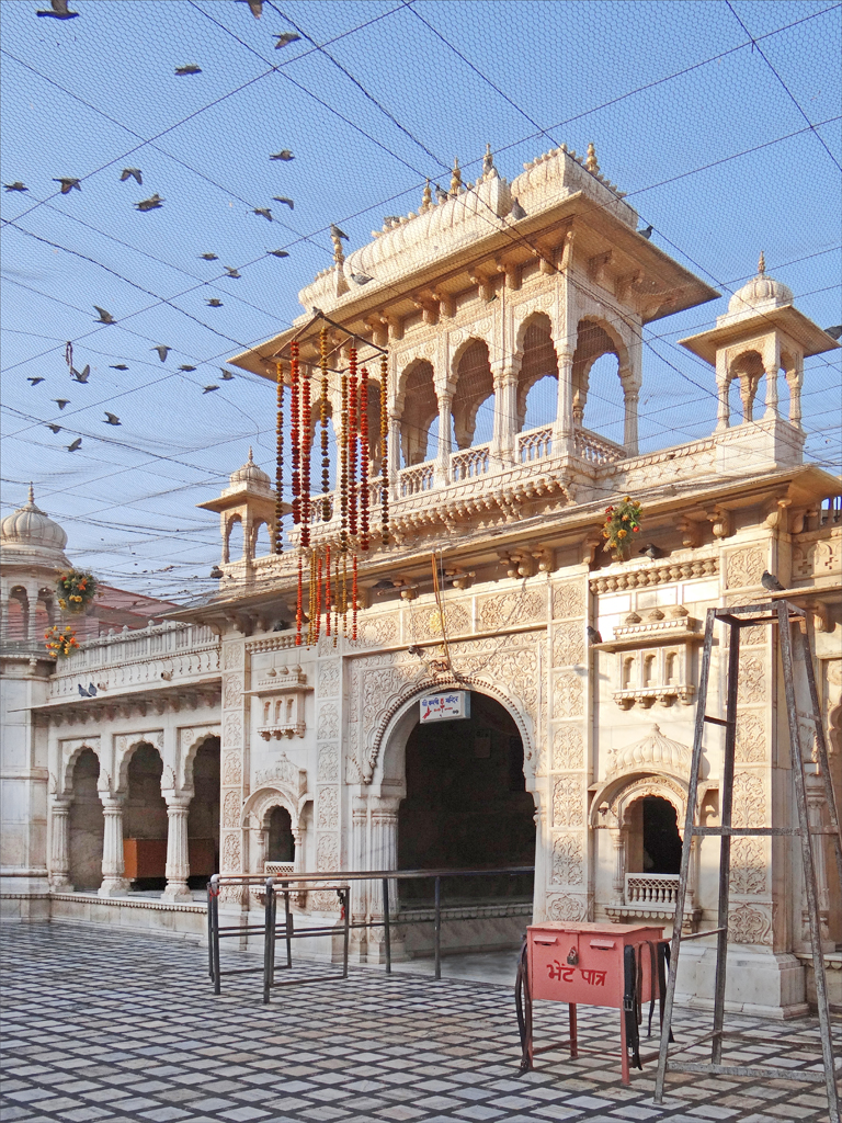 Visit the Karni Mata Temple (Rat Temple) - Deshnok - India - booked ai