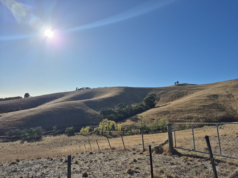 Explore Wither Hills Farm Park - Blenheim - New Zealand - booked ai