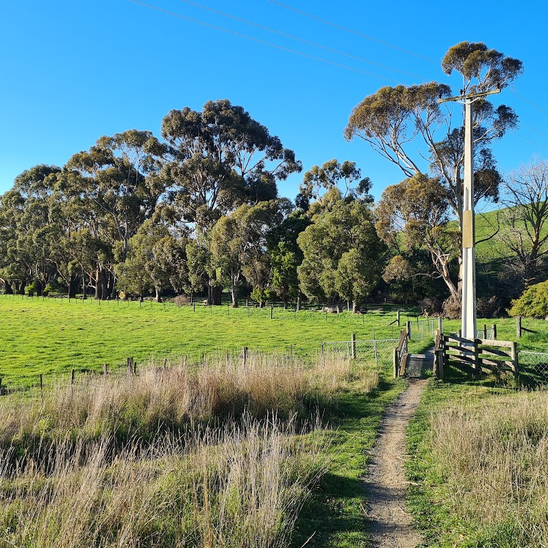 Explore Wither Hills Farm Park - Blenheim - New Zealand - booked ai