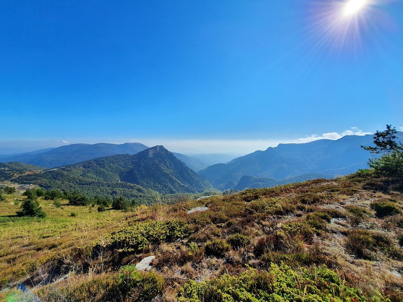 Explore the Kožuf Mountain for Hiking and Nature Walks - Exaplatanos - Greece - booked ai