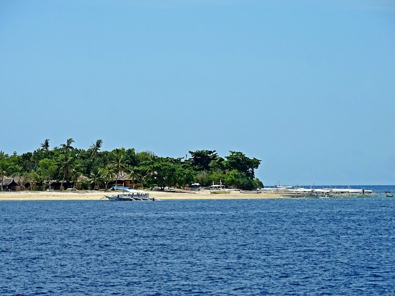 Island Hopping in Panglao (Balicasag and Virgin Islands) - Panglao - Philippines - booked ai
