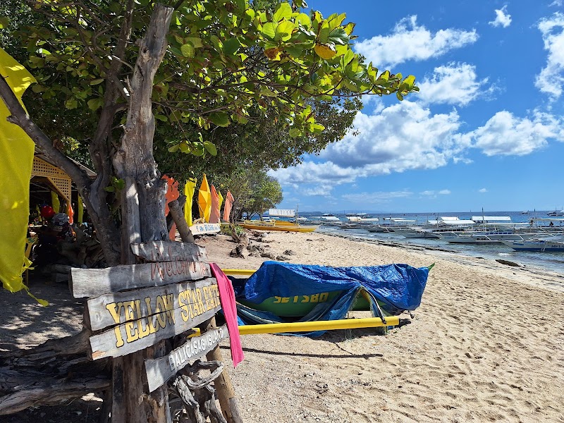 Island Hopping in Panglao (Balicasag and Virgin Islands) - Panglao - Philippines - booked ai