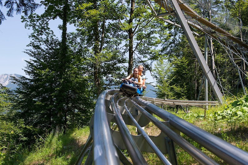 Alpine Coaster at Brandnertal - Tschagguns - Austria - booked ai