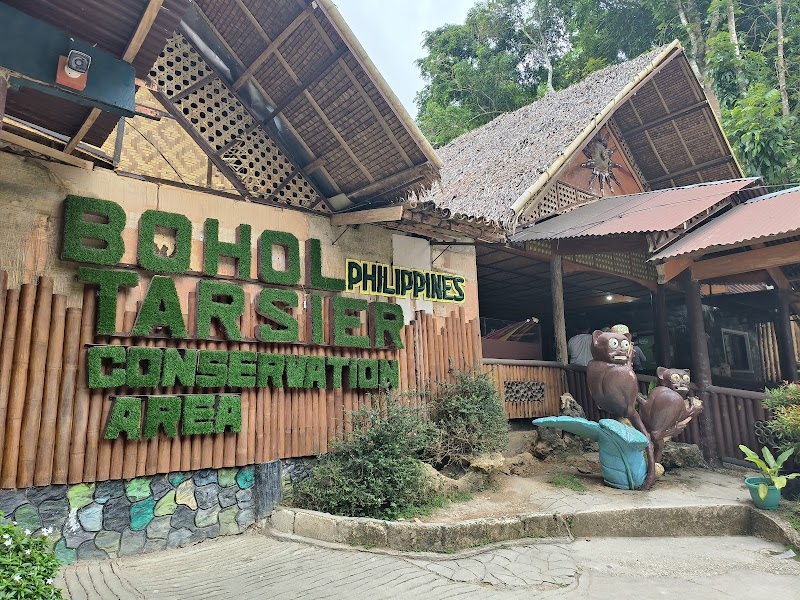 Chocolate Hills Viewing - Carmen - Philippines - booked ai