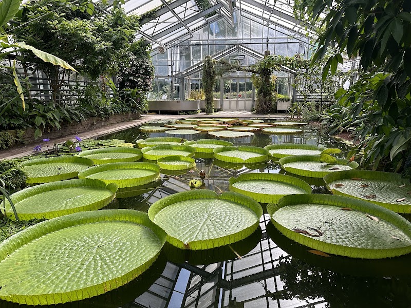 Botanical Gardens and Poppelsdorf Palace - Bonn - Germany - booked ai