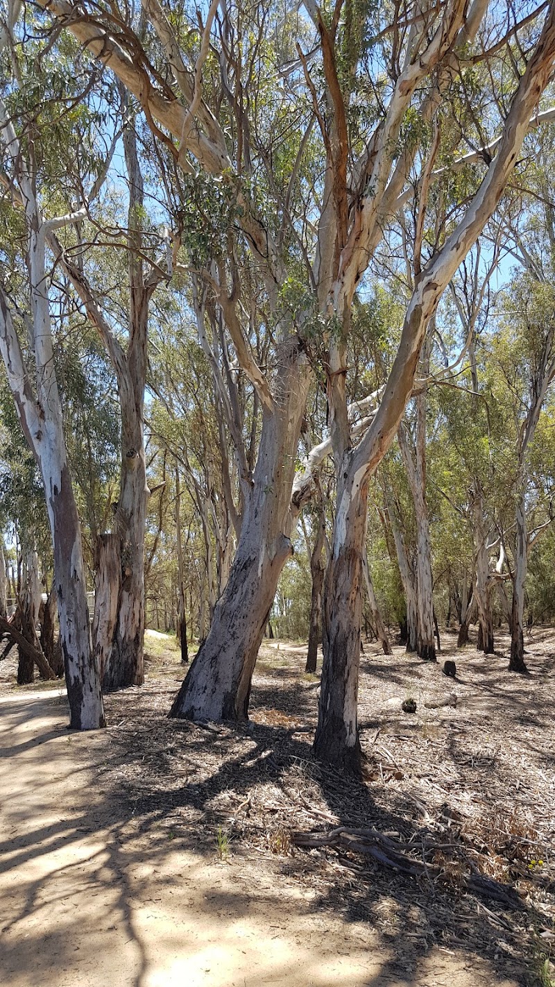 Lock Island - Mildura - Australia - booked ai