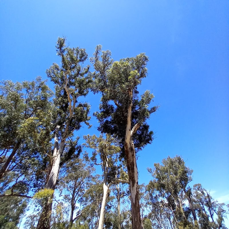 Holmes Lookout - Batemans Bay - Australia - booked ai