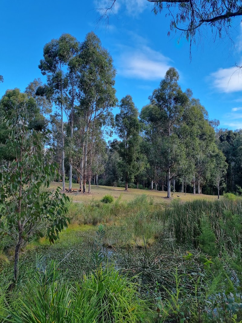 Discover the Beauty of Eurobodalla Regional Botanic Garden - Batemans Bay - Australia - booked ai