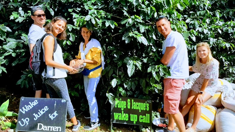 Visiting a Coffee Plantation Tour - Palmira - Panama - booked ai