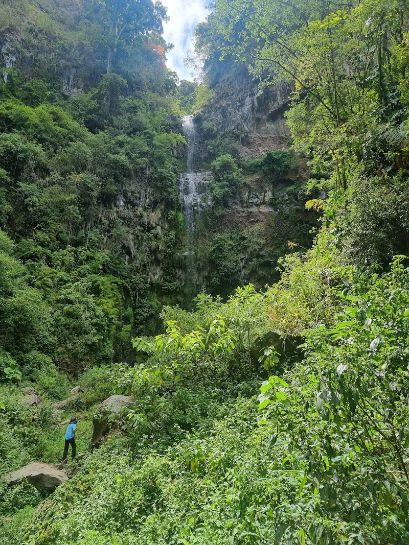 Exploring the Cloud Forest on the Pipeline Trail - Los Naranjos - Panama - booked ai