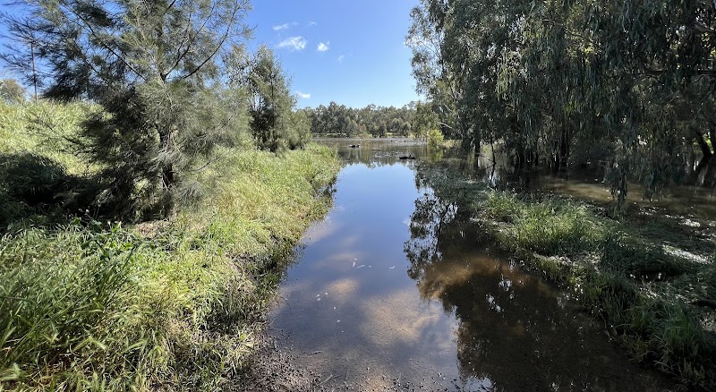 Marrambidya Wetland: Nature's Vital Oasis - Wagga Wagga - Australia - booked ai