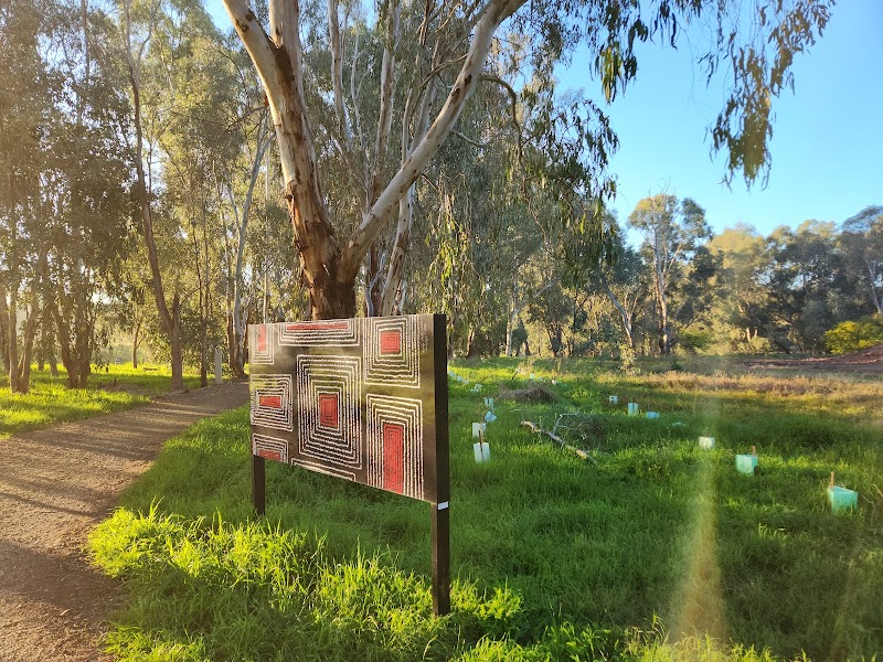 Marrambidya Wetland: Nature's Vital Oasis - Wagga Wagga - Australia - booked ai
