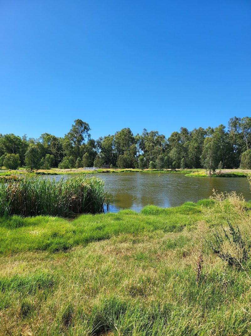 Marrambidya Wetland: Nature's Vital Oasis - Wagga Wagga - Australia - booked ai