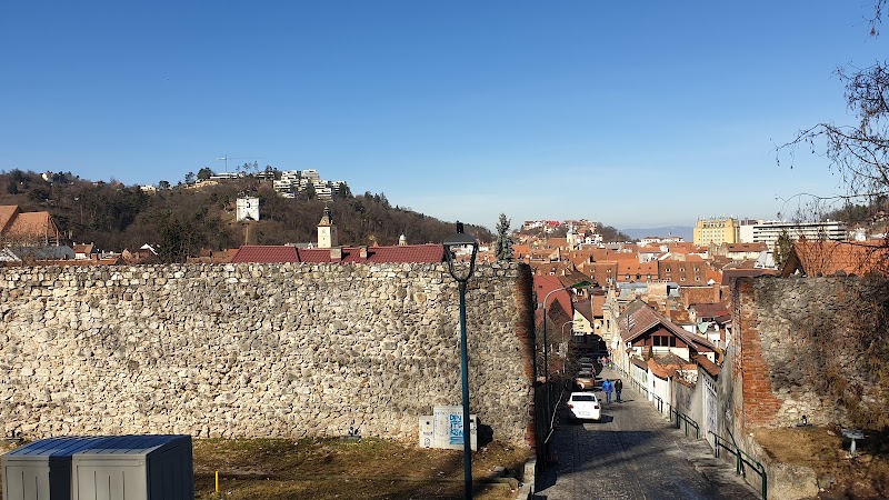 Take the Tampa Mountain Cable Car - Brașov - Romania - booked ai