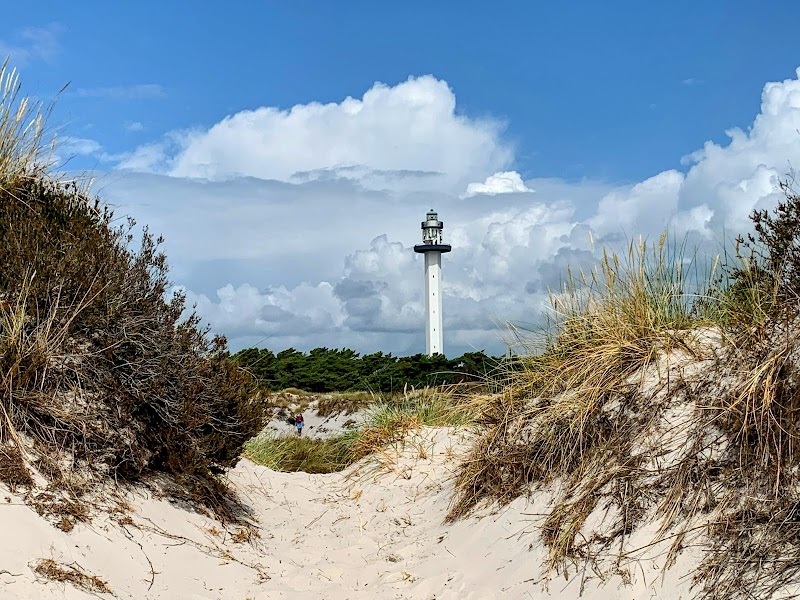 Relax at Dueodde Beach - Nexø - Denmark - booked ai