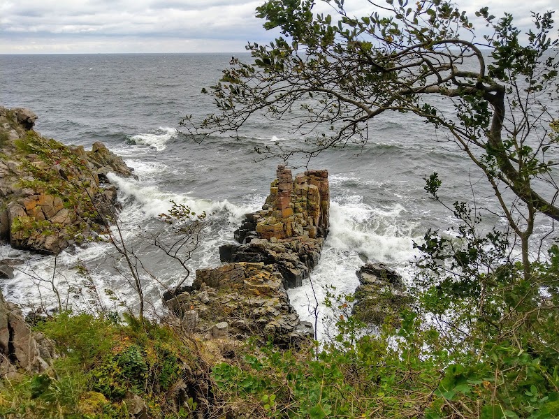 Explore the Rock Formations at Helligdomsklipperne - Gudhjem - Denmark - booked ai