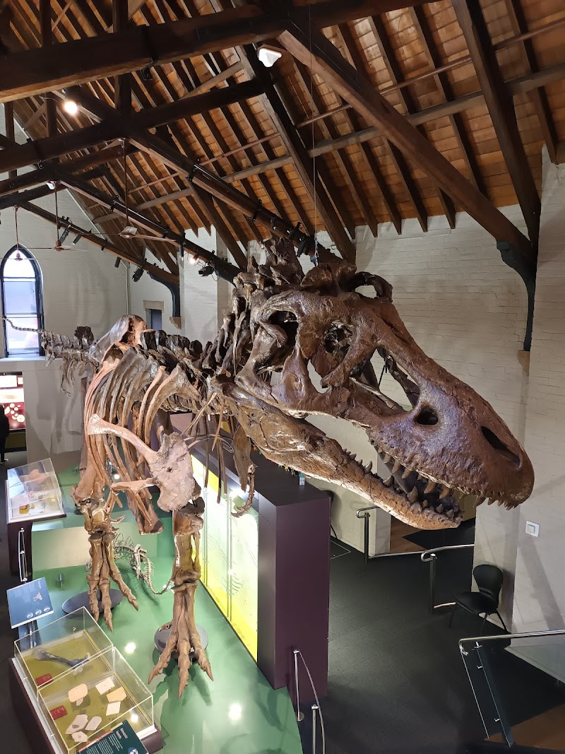 Australian Fossil and Mineral Museum - Bathurst - Australia - booked ai