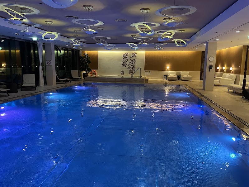 Grand Hotel River Park, a Luxury Collection Hotel - Bratislava - Slovakia - booked ai