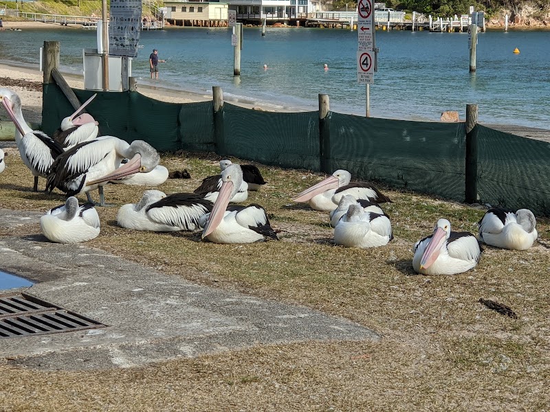 Little Beach Reserve - Nelson Bay - Australia - booked ai