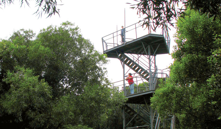 Cape Hawke Lookout - Forster - Australia - booked ai