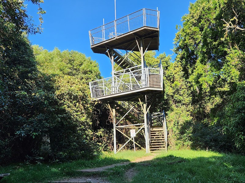 Cape Hawke Lookout - Forster - Australia - booked ai