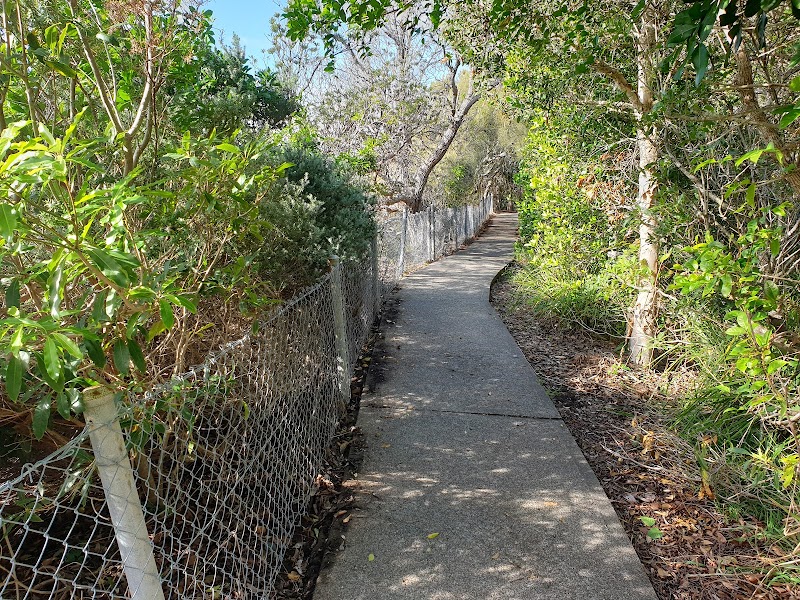 Bennetts Head Lookout: A Must-Visit Coastal Gem - Forster - Australia - booked ai