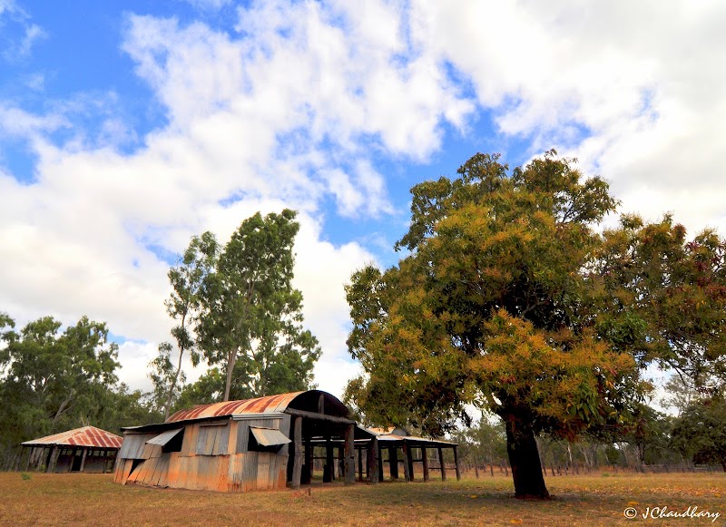 Exploring the Old Laura Homestead in Rinyirru Lakefield National Park CYPAL - Lakefield - Australia - booked ai