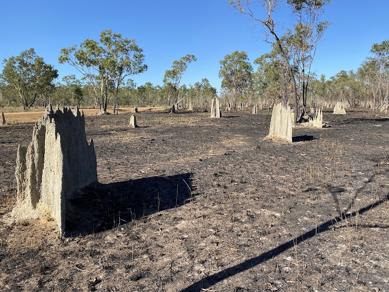 Jarramali Rock Art Tours - Laura - Australia - booked ai