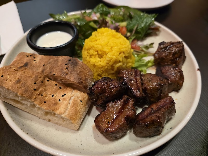 Polar Bear Of Leura - Leura - Australia - booked ai