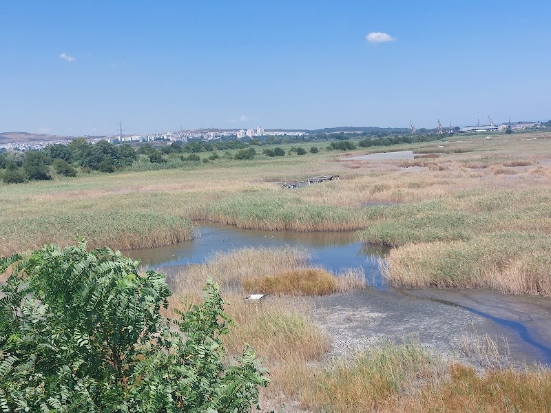 Poda Protected Area - Burgas - Bulgaria - booked ai