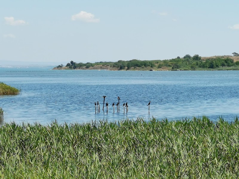 Poda Protected Area - Burgas - Bulgaria - booked ai