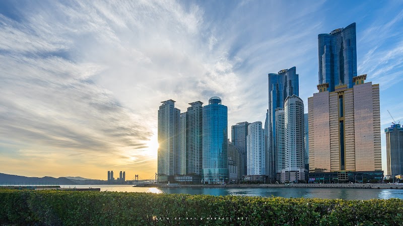 The Bay 101 - Busan - South Korea - booked ai