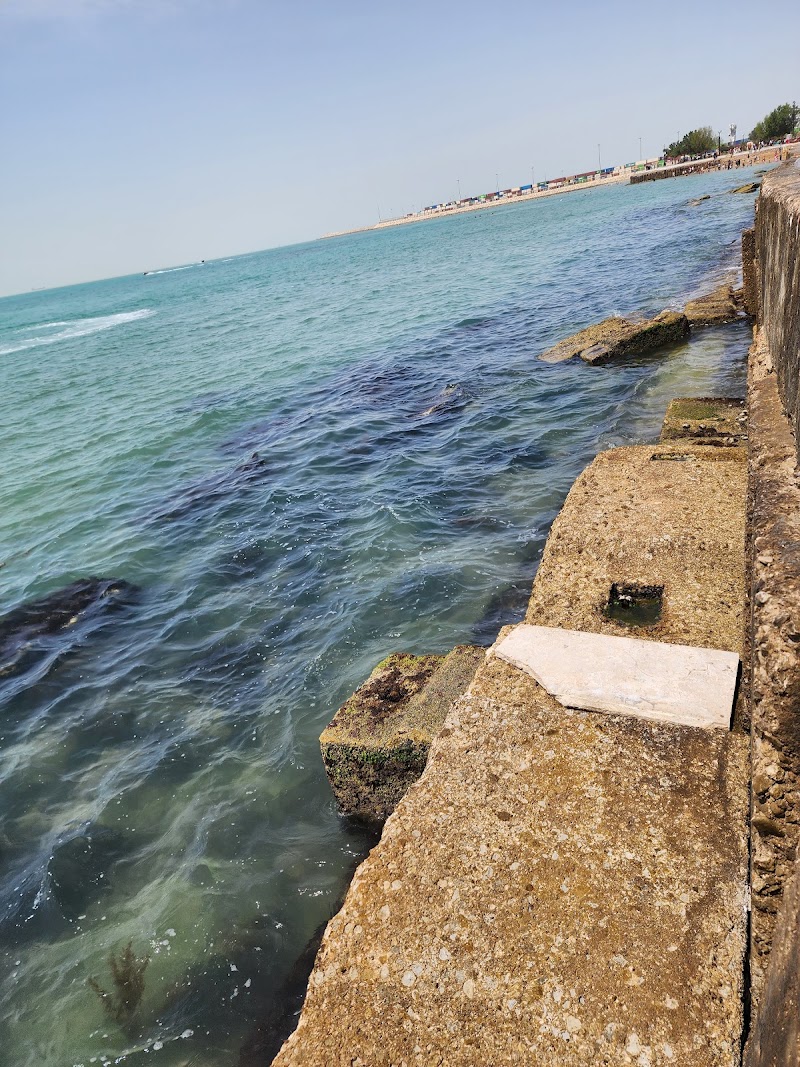 Relax at the Bushehr Beach - Bushehr - Iran - booked ai