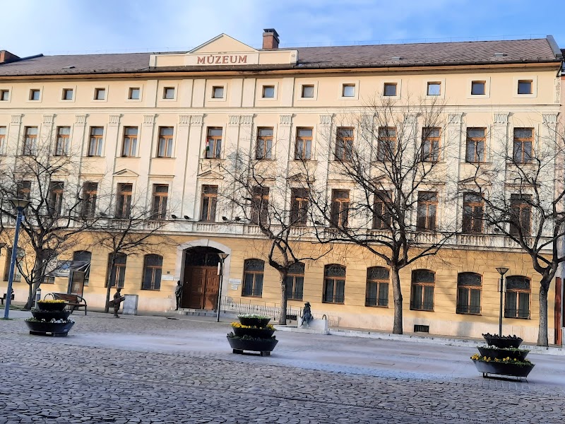 Exploring the Rich Heritage of the Damjanich János Museum - Szolnok - Hungary - booked ai