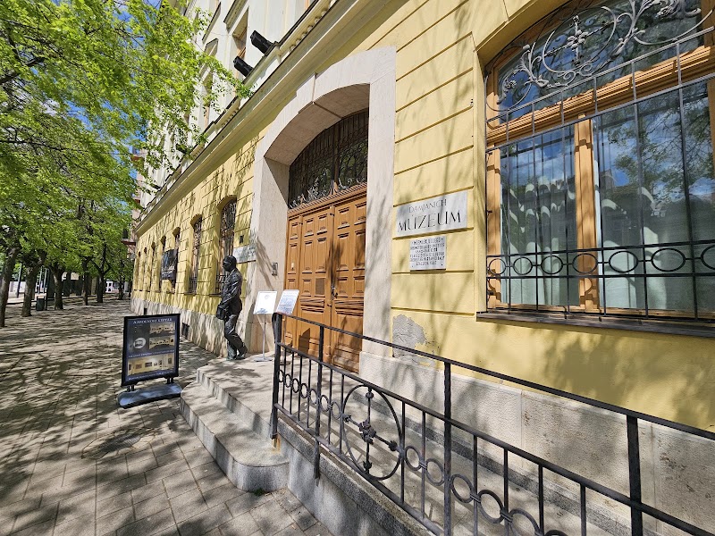 Exploring the Rich Heritage of the Damjanich János Museum - Szolnok - Hungary - booked ai