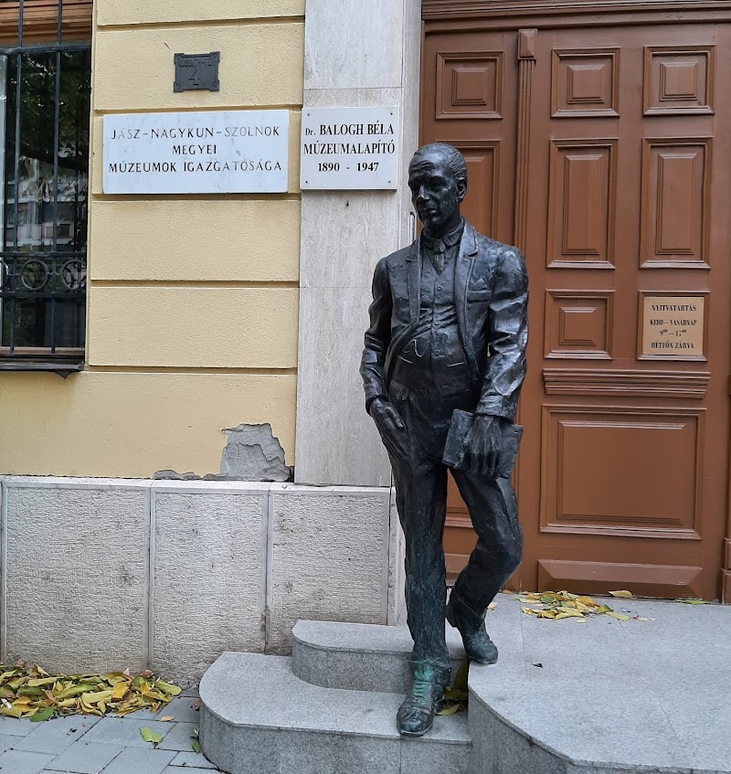 Exploring the Rich Heritage of the Damjanich János Museum - Szolnok - Hungary - booked ai
