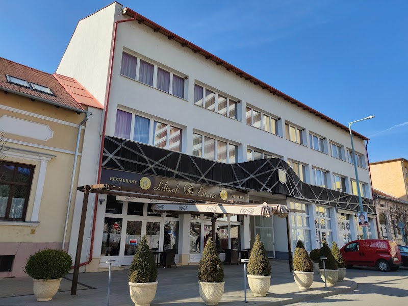 Liliomfi Etterem - Szolnok - Hungary - booked ai