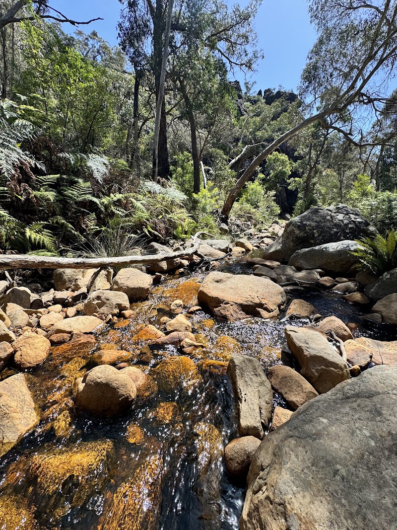 The Enchanting Venus Baths: A Must-Visit Natural Wonder - Halls Gap - Australia - booked ai