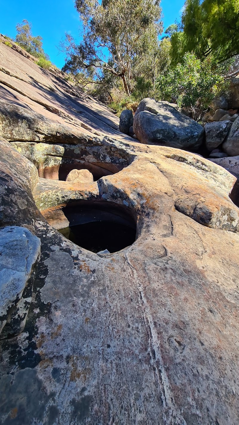 The Enchanting Venus Baths: A Must-Visit Natural Wonder - Halls Gap - Australia - booked ai