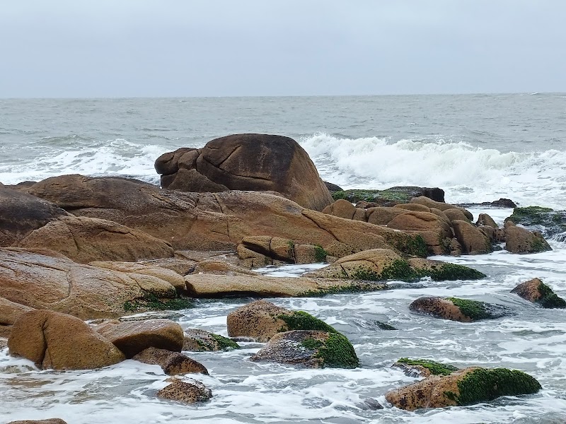 See the Sea Lion Colony at the Lighthouse - Cabo Polonio - Uruguay - booked ai