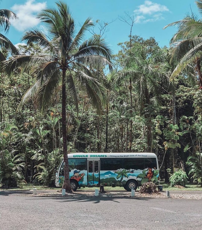 Daintree Rainforest Tour - Cairns City - Australia - booked ai