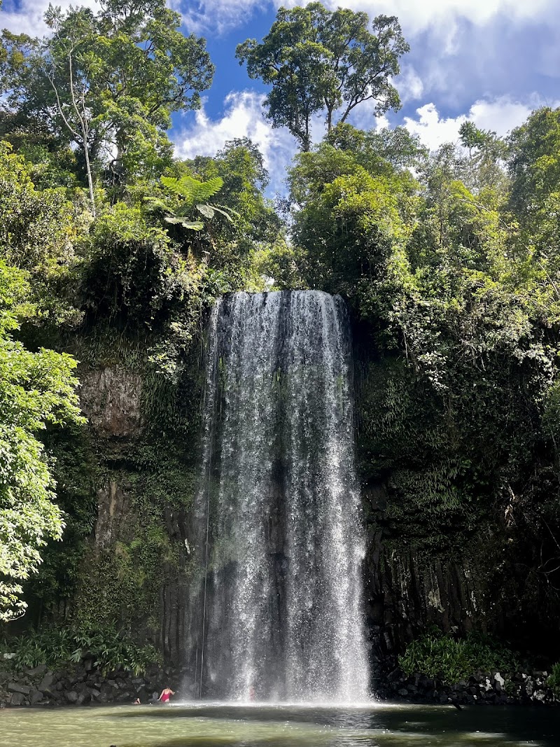 Daintree Rainforest Tour - Cairns City - Australia - booked ai