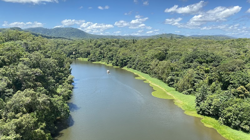 Kuranda Scenic Railway and Skyrail Rainforest Cableway - Smithfield - Australia - booked ai