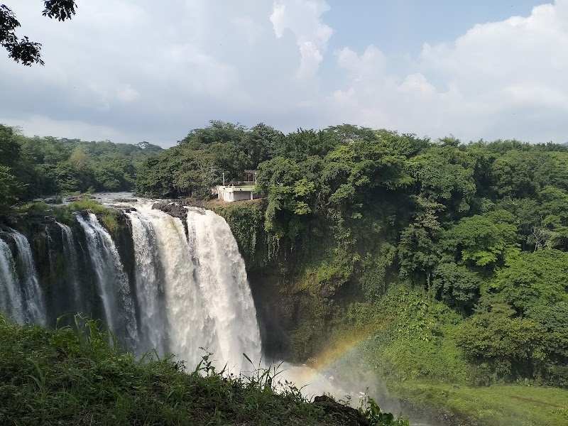 Visiting Salto de Eyipantla Waterfall - Salto de Eyipantla - Mexico - booked ai
