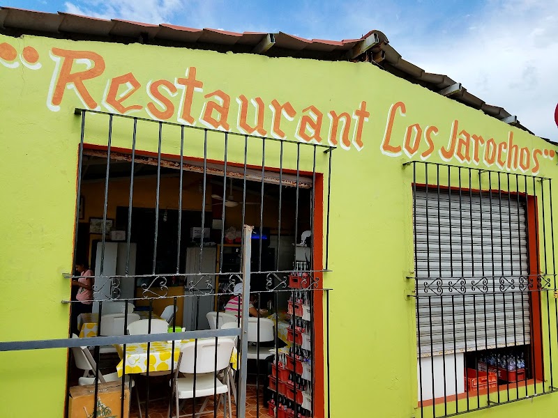 Los Jarochos - Tlacotalpan - Mexico - booked ai